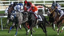 At yarışında iki büyük koşu Ankara’da yapılacak