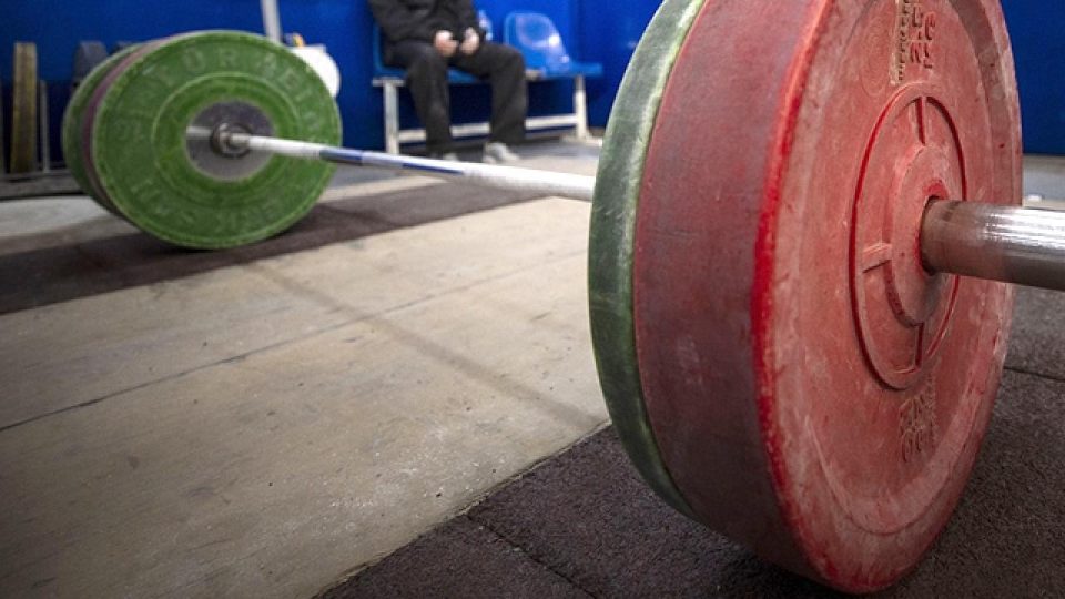 Halter Büyükler Dünya Şampiyonası Kolombiya’da gerçekleştirilecek