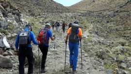 Dağların korunmasında kadınlar önemli rol üstleniyor